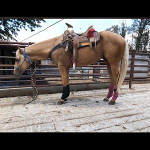 Meet your Posher, Andres